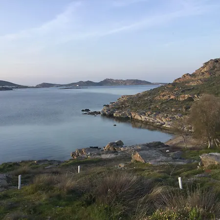 Joseph Naousa (Paros)